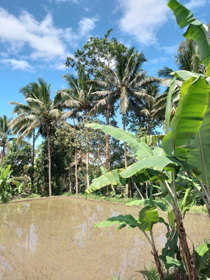 Kembang Kuning Homestay Tetebatu