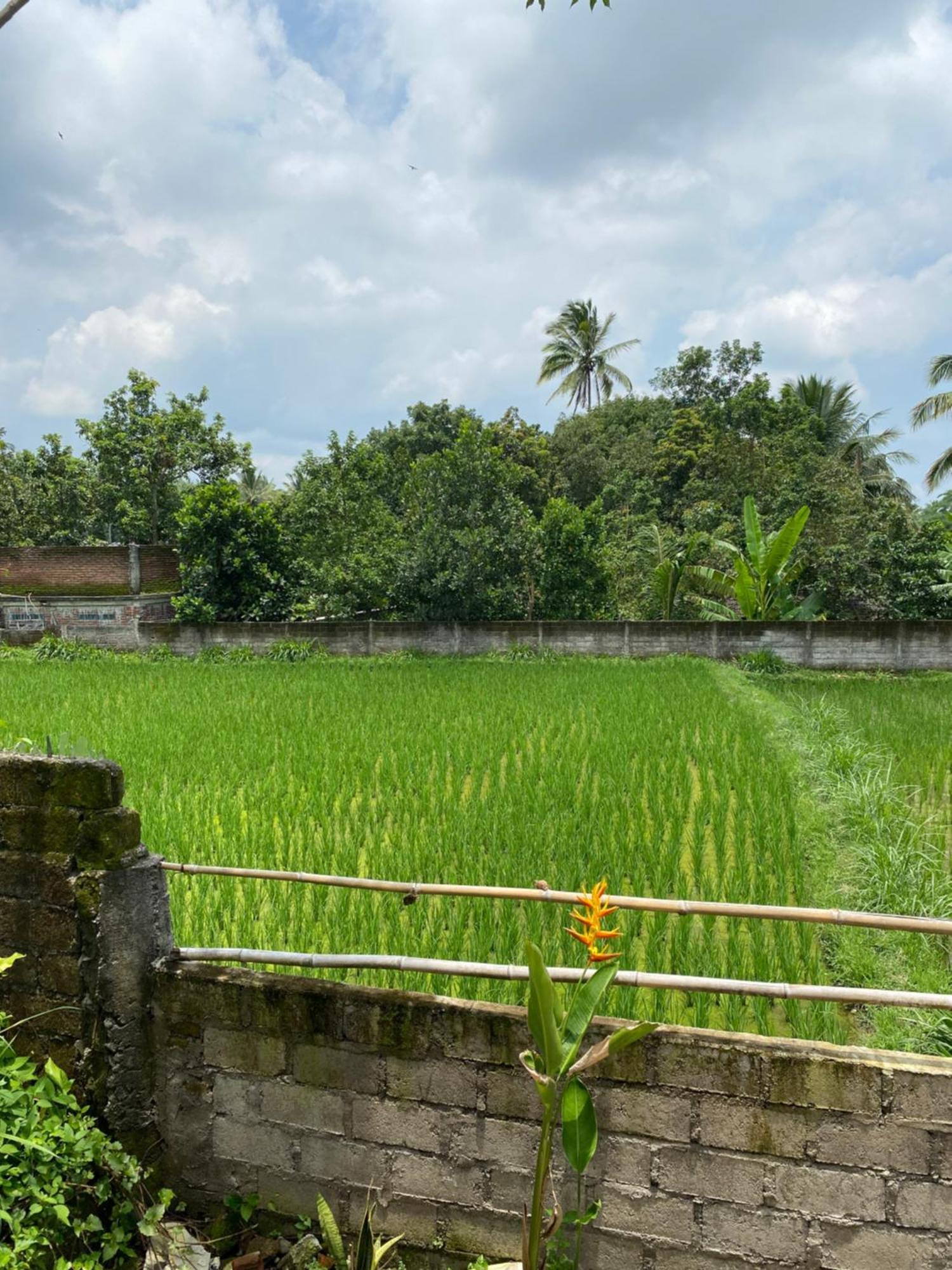 Homestay Kembang Kuning *