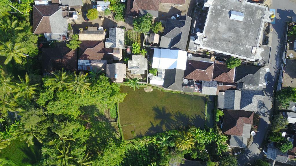 Homestay Kembang Kuning