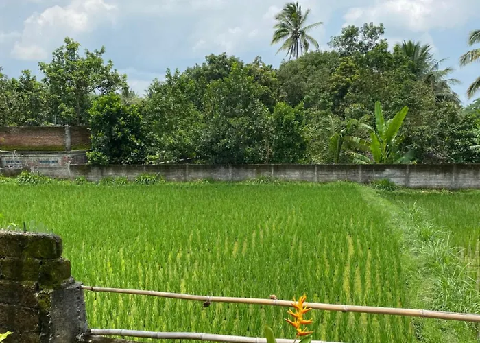 Kembang Kuning Cottages