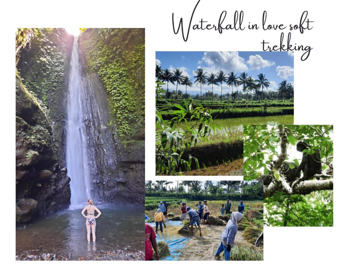 Kembang Kuning Homestay