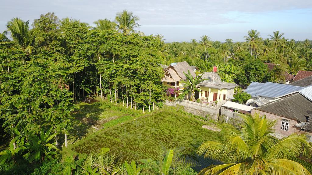 Kembang Kuning * Tetebatu