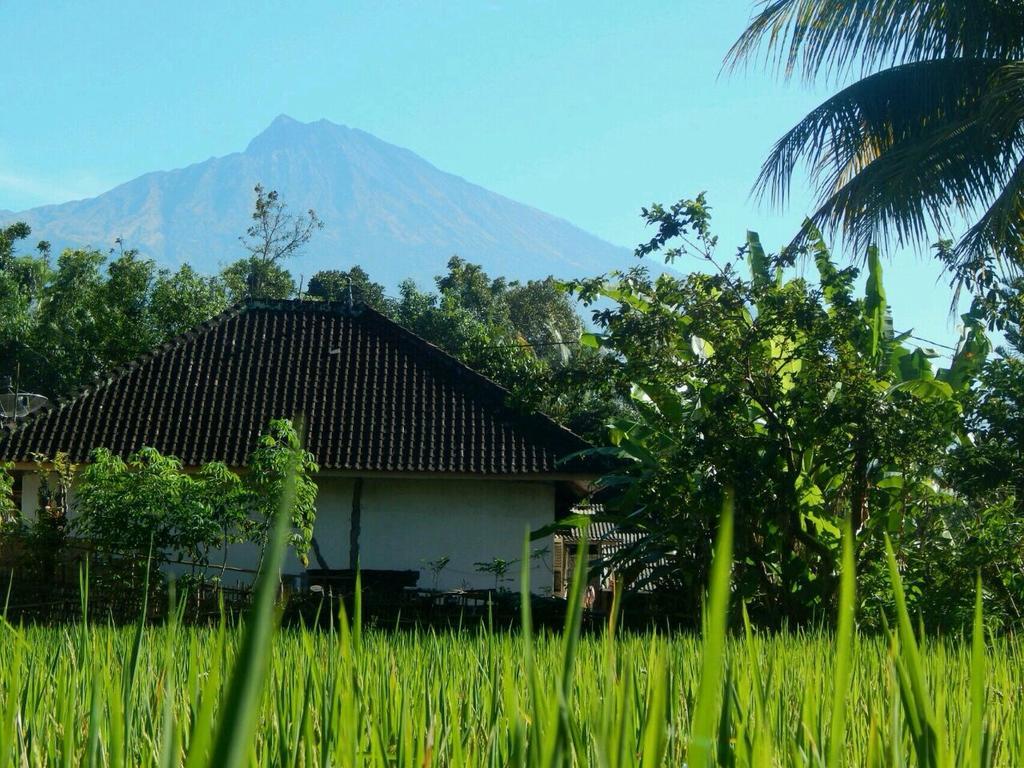Homestay Kembang Kuning